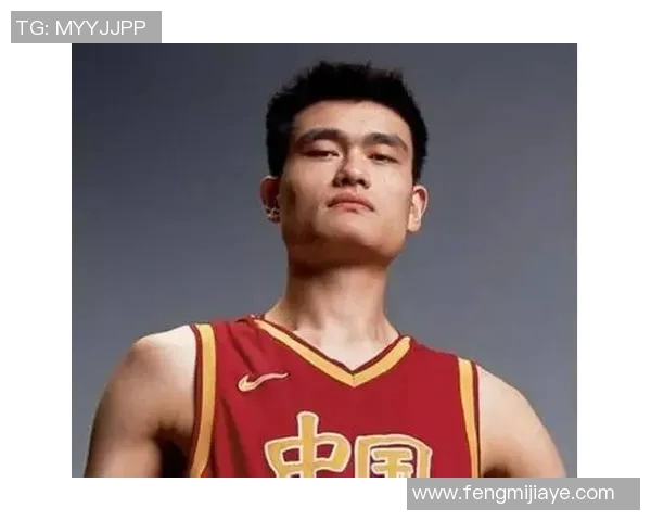 姚明集团地址及周边环境详解助您轻松找到目的地