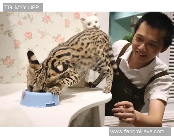 足球明星偶遇可爱女孩瞬间害羞的甜蜜场景引发热议